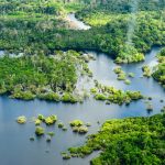 New tool helps Brazil’s forest planners see into the future