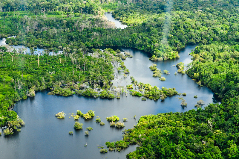 New tool helps Brazil’s forest planners see into the future