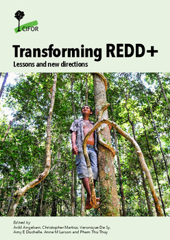 Transforming REDD+: Lessons and new directions
