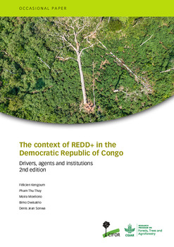 The context of REDD+ in the Democratic Republic of Congo: Drivers, agents and institutions
