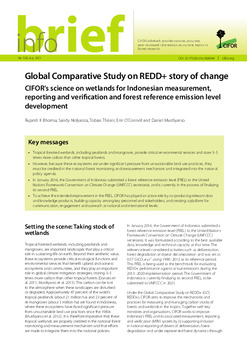 Story of Change: Research conducted through GCS REDD+ informed Indonesia's second Forest Reference Emission Level (FREL) submission (2019), adding missing carbon sources and sinks including peatland fires. The country also adopted the 2013 Wetlands Supplement. 