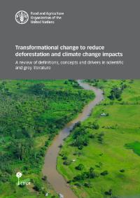 GCS REDD+ scientists co-developed guidelines on transformational change with FAO