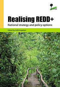 Realising REDD+: National strategy and policy option