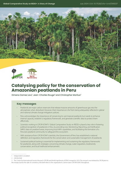 Story of Change: Catalysing policy for the conservation of Amazonian peatlands in Peru 