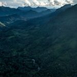 GLF Forests 2025: Defining the next decade of action