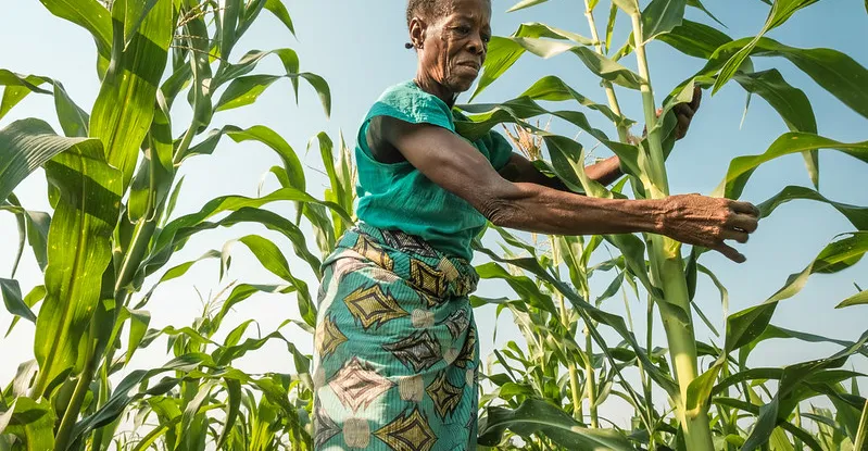 L'agroécologie peut réparer nos systèmes alimentaires