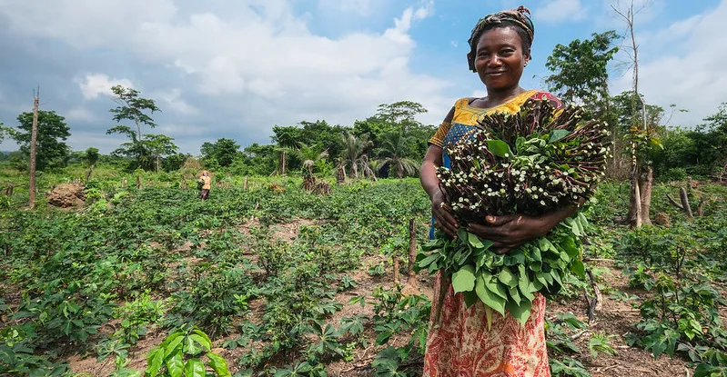 Climate? Think food, soils, trees