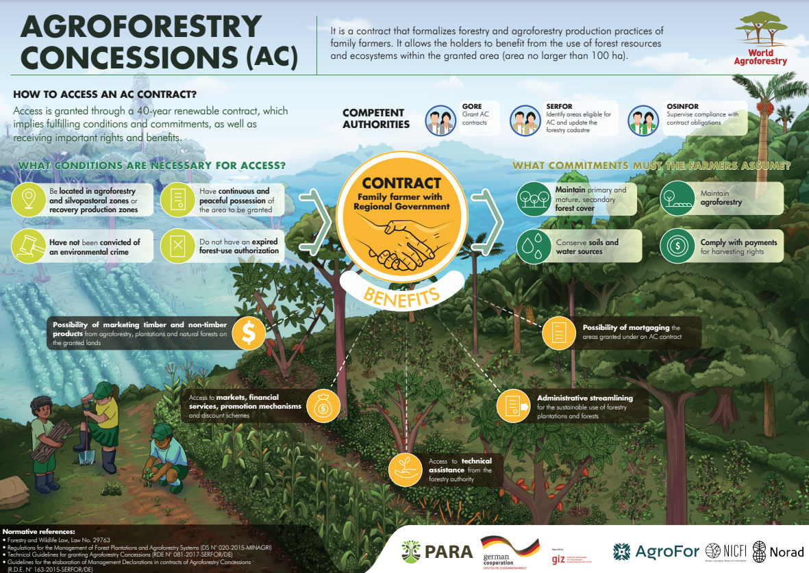 Concessions en agroforesterie