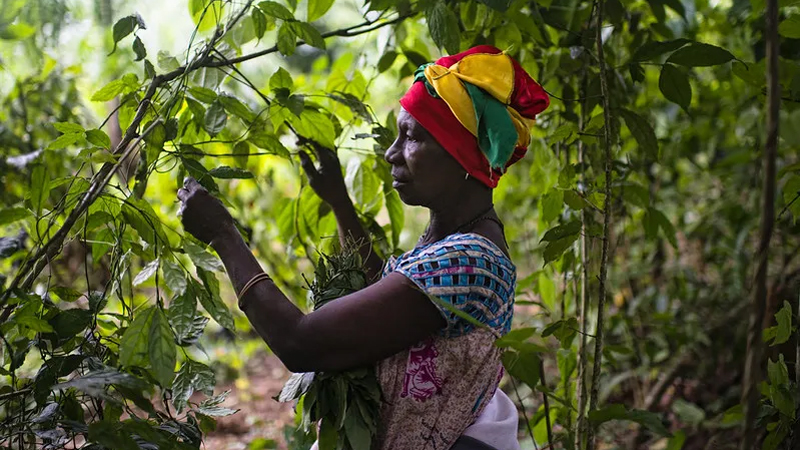 New strategies needed to uproot deep barriers to land, resource rights for women