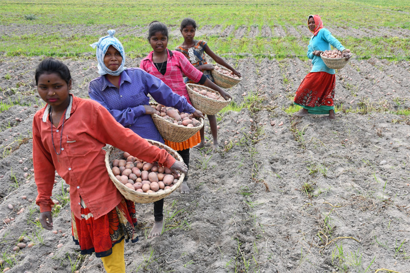 Reach, Benefit, Empower, Transform: Approaches to helping rural women secure their resource rights