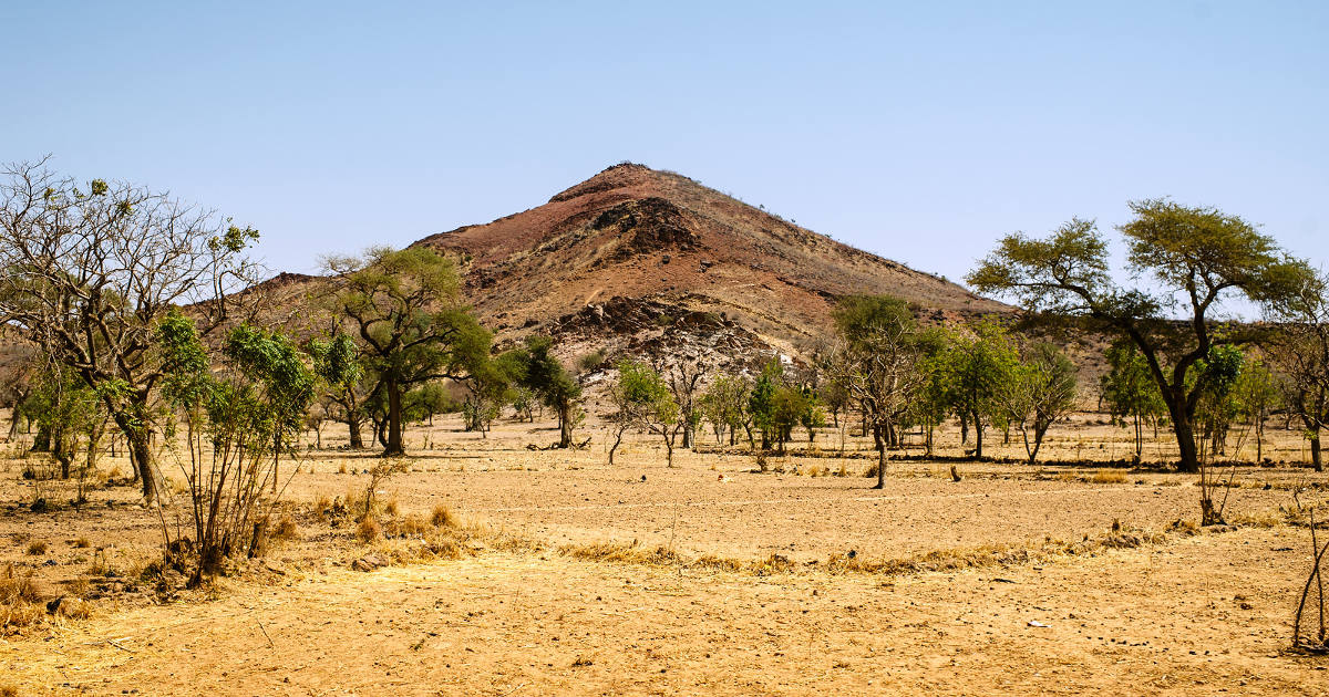 Soil And Land Health | CIFOR-ICRAF