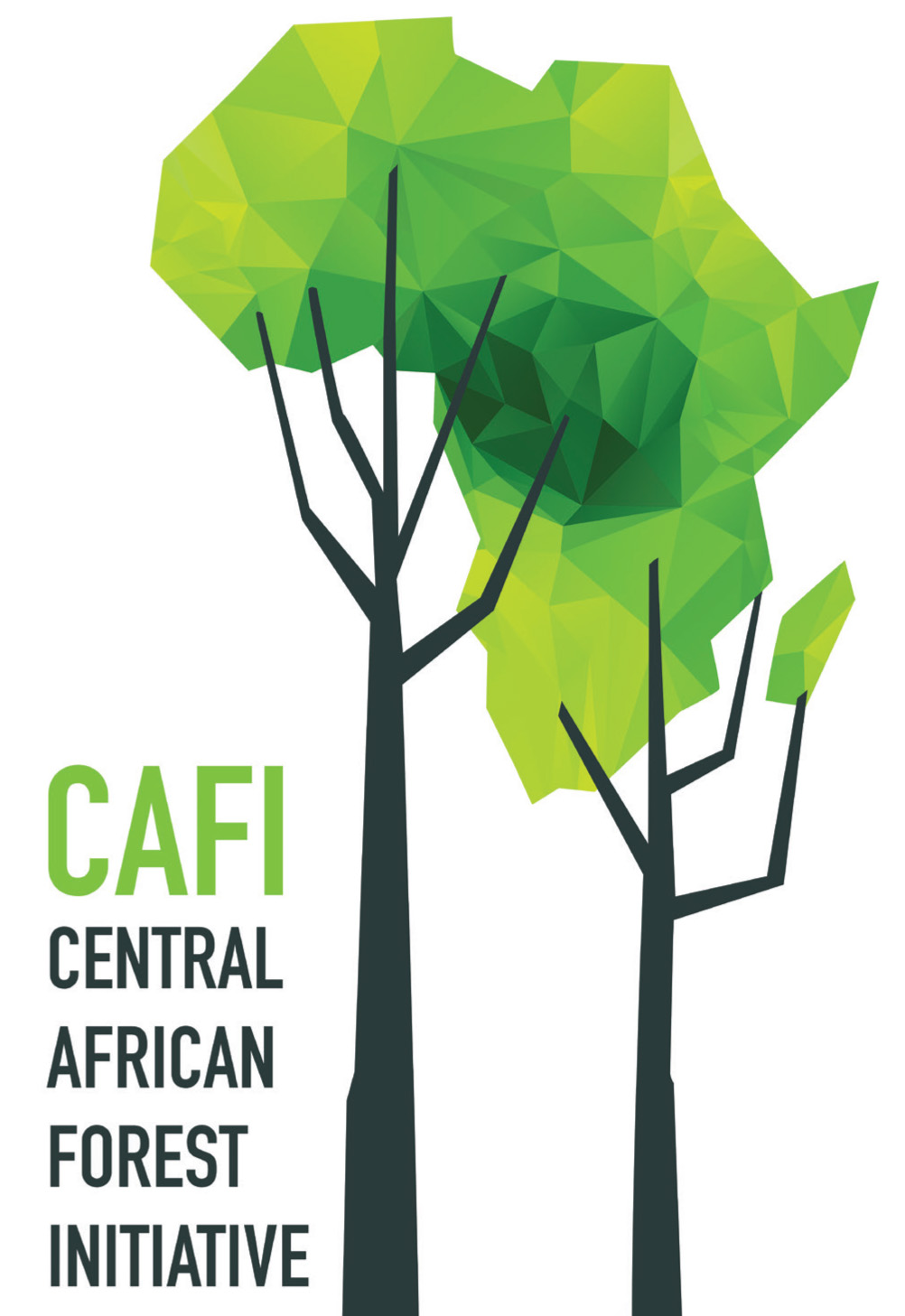 Central African Forest Initiative (CAFI)