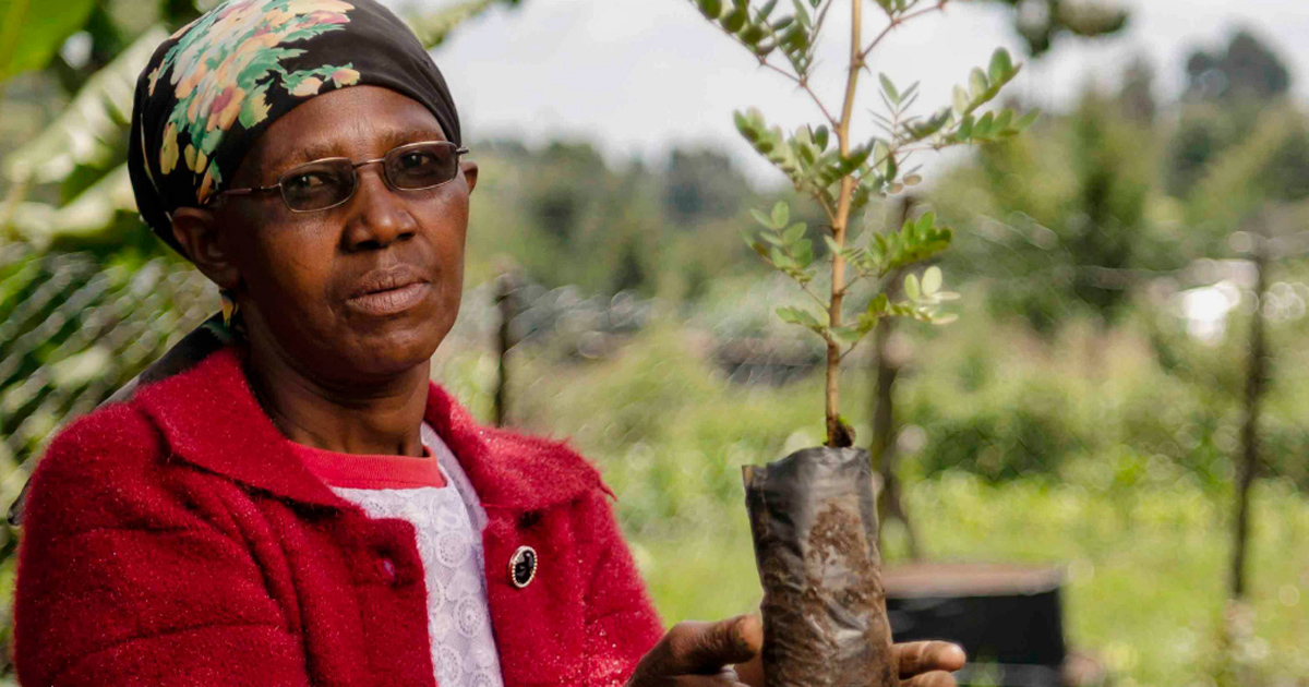 Kenya National Landscape Restoration Scaling Conference 2022 | CIFOR-ICRAF