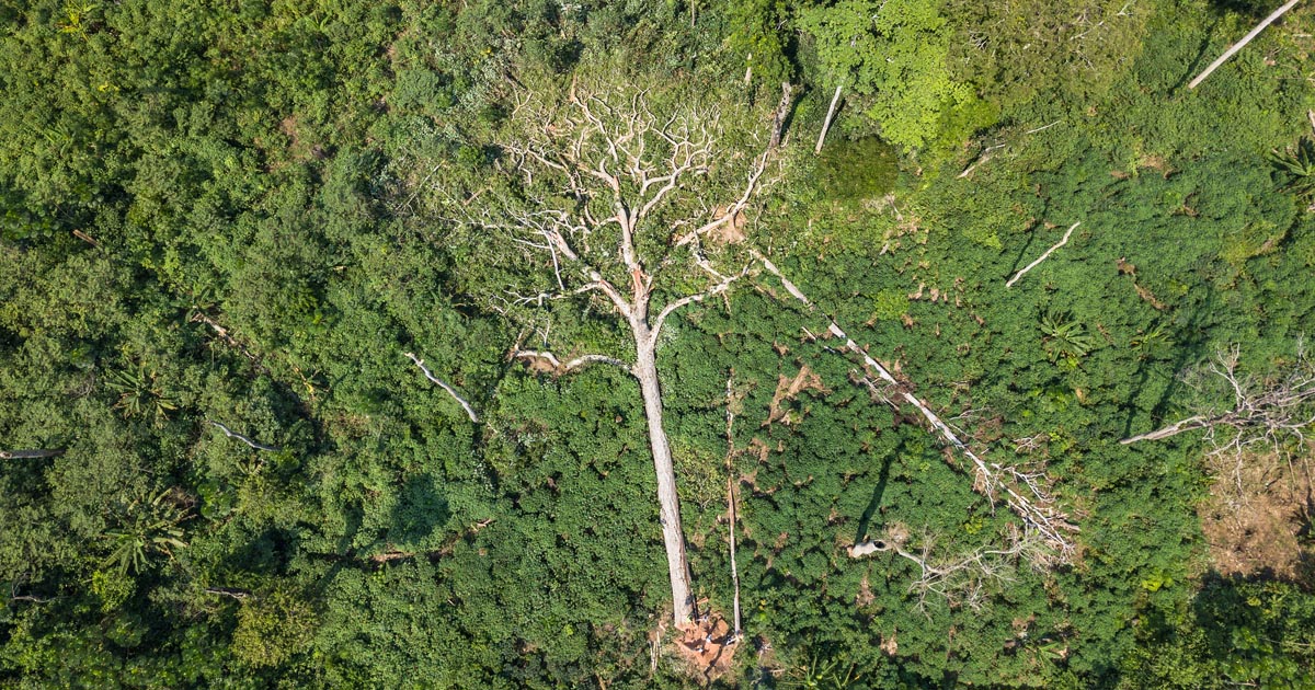 Bonn Climate Change Conference | CIFOR-ICRAF