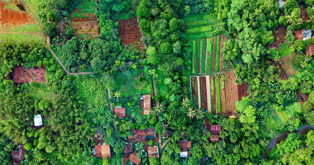 Khám Phá CFF Research - Nền Tảng Tri Thức Toàn Cầu - https//cffresearch.org/