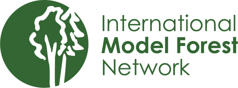 International Model Forest Network (IMFN)