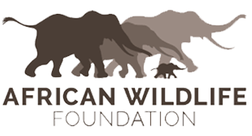 African Wildlife Foundation (AWF)