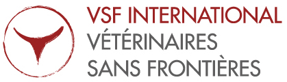 VSF International